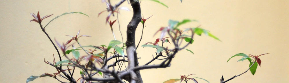 In God's Hands Holdings LLC